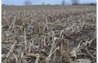 Property photo 35 - 98+/- Acres Offered in 6 Tracts or Combinations, Noble County, Indiana Farm